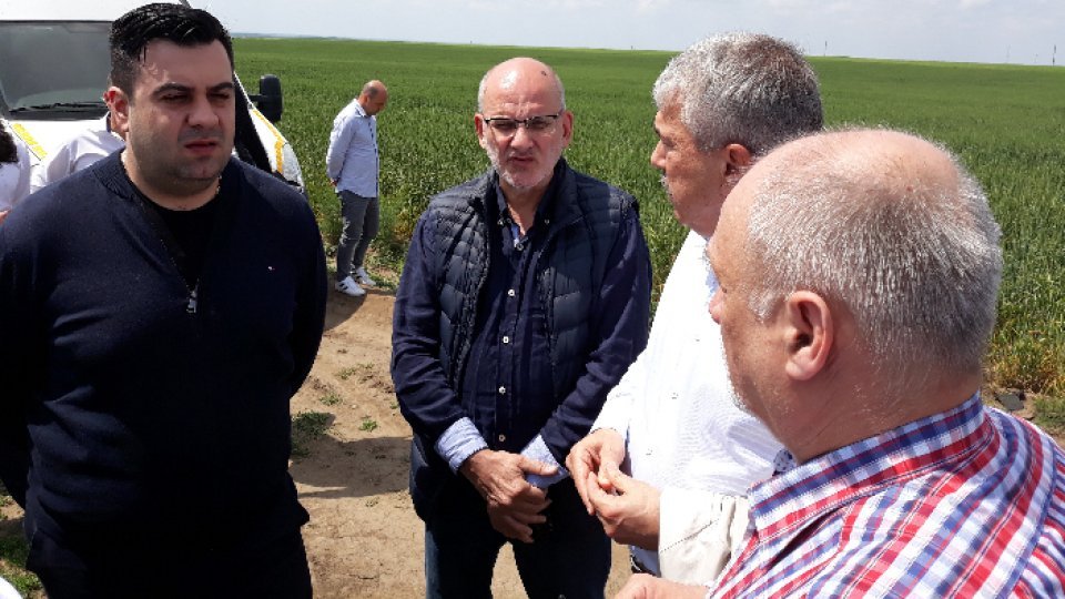 Fostul ministru al Transporturilor, Răzvan Cuc, este audiat într-un dosar de corupţie