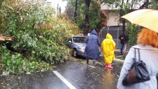 Furtună în Bucureşti şi Ilfov, 60 de copaci căzuţi şi 71 de autoturisme avariate
