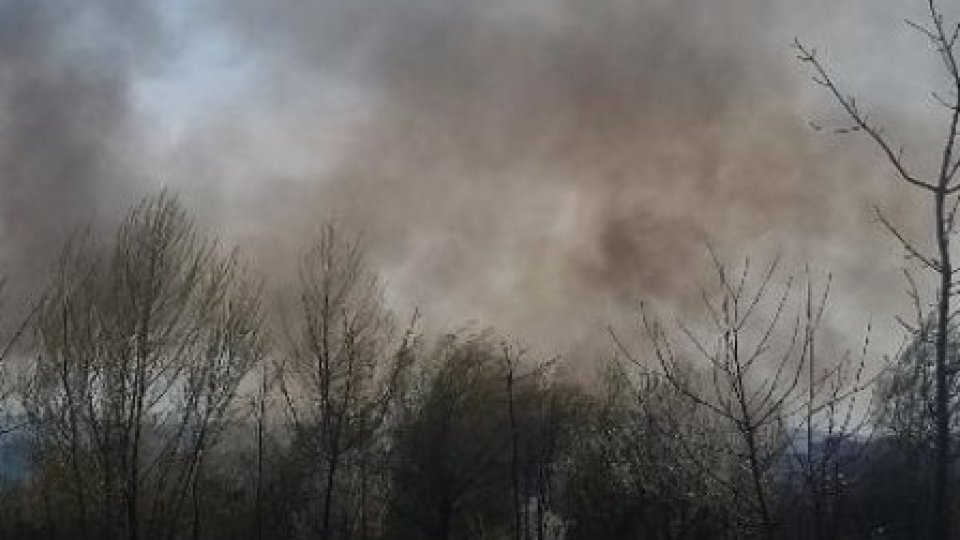 Incendiu de vegetaţie pe un câmp din localitatea Durneşti, judeţul Botoşani