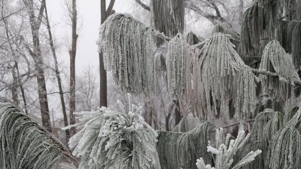 Noaptea următoare va fi cea mai geroasă din acest sezon
