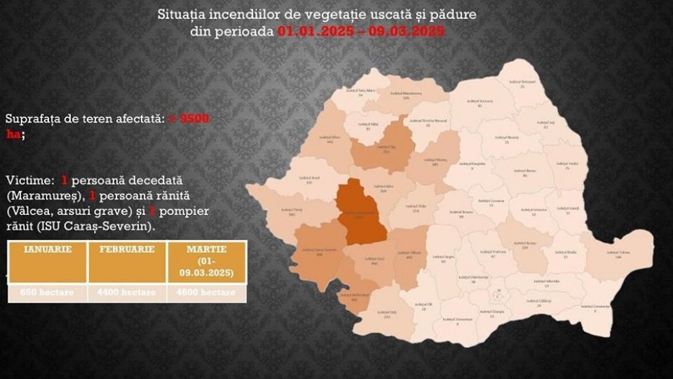 IGSU: Mii de hectare de pădure și vegetație uscată au ars în 15 județe în ultimele zile