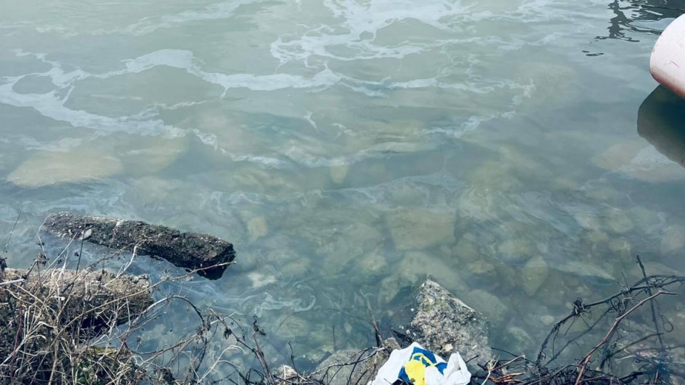 Poluare pe Dunăre, în dreptul localităţii Moldova Nouă