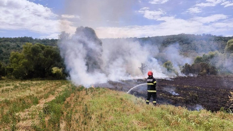 Peste 8.000 de hectare de pădure şi vegetaţie uscată din 15 judeţe au ars în ultimele zile