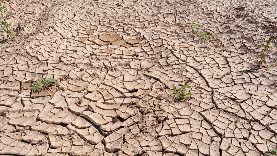 În Bihor, autoritățile încearcă să combată efectele secetei prelungite prin proiecte cu finanțare europeană