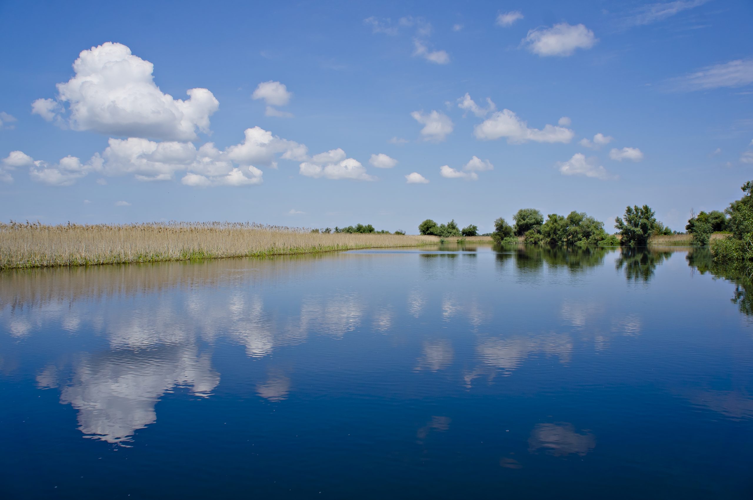 Delta Dunării, canalul Lopatna.