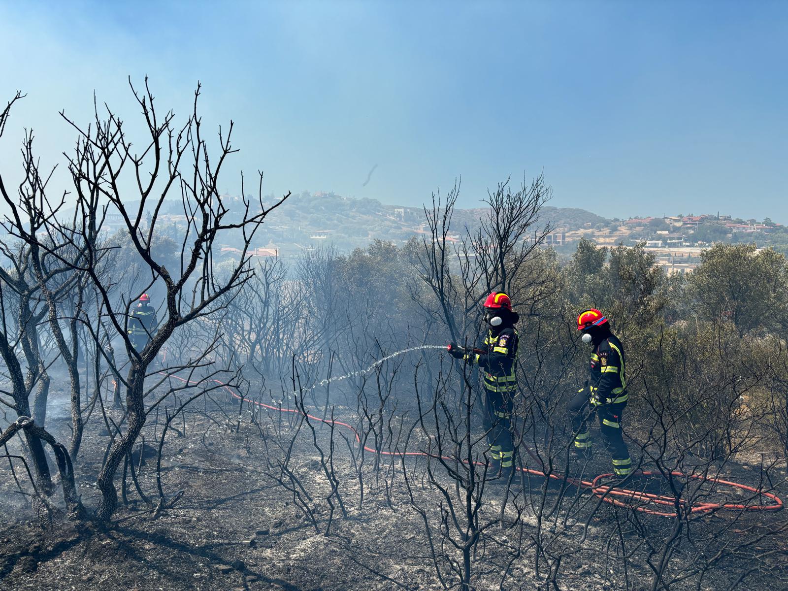 Intervenție a pompierilor români în localitatea Kropia, situată la periferia regiunii Attica de Est (Grecia).